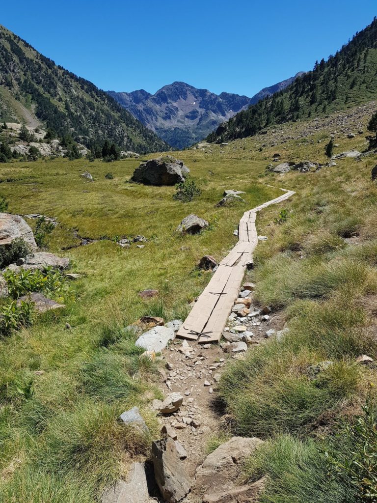 pico-baborte-desde-la-molinassa