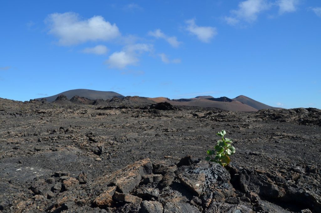 la_isla_de_el_hierro