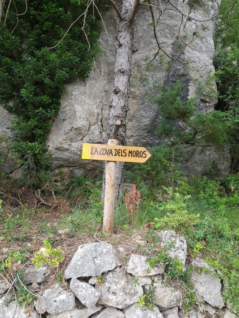 cresta_roca_de_nargo