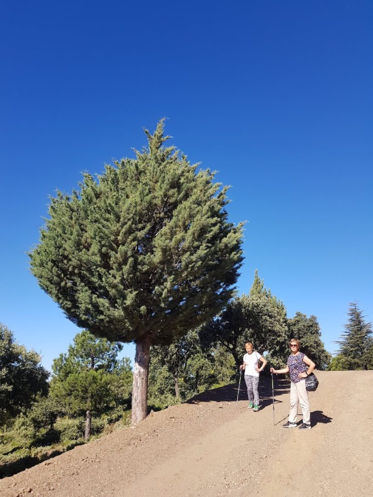 Rutas_por_la_Alpujarra