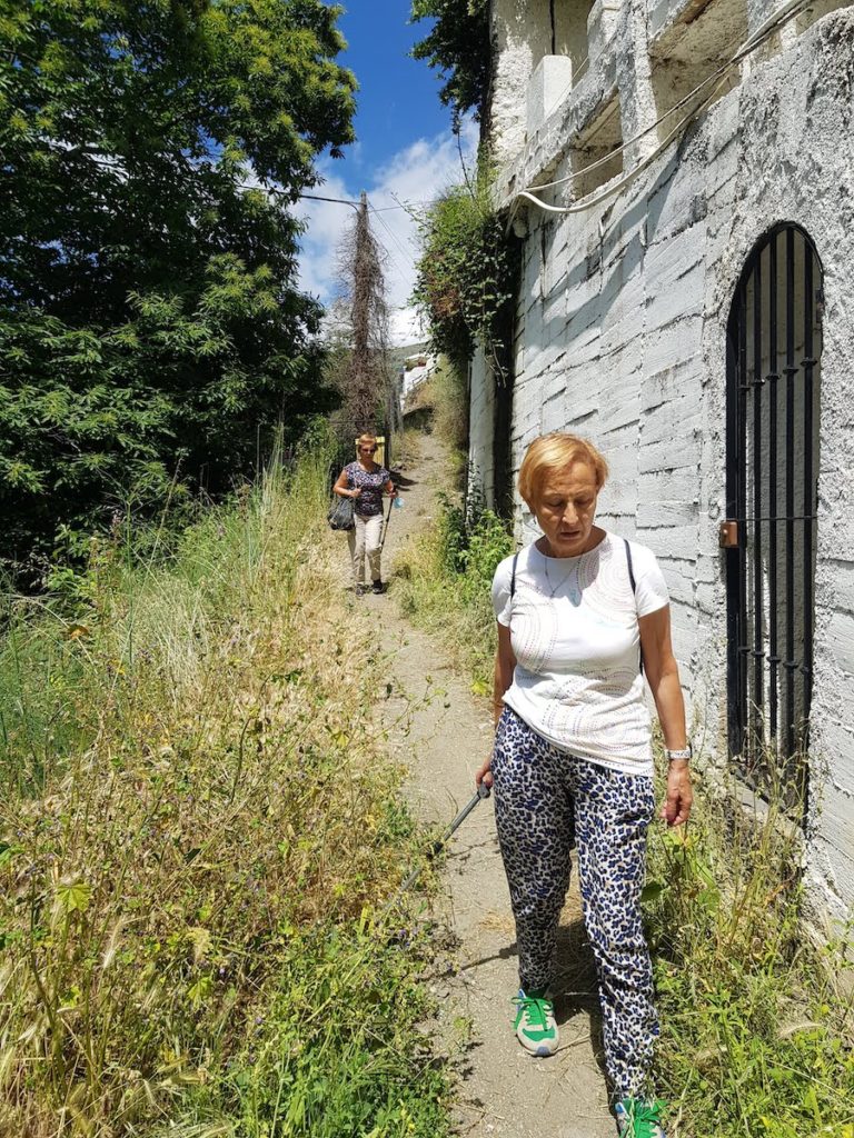 camino-capileira-bubión