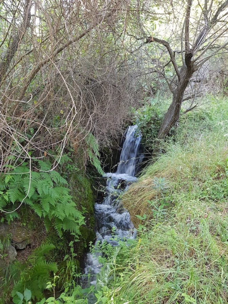 la_acequia_gorda_capilerilla