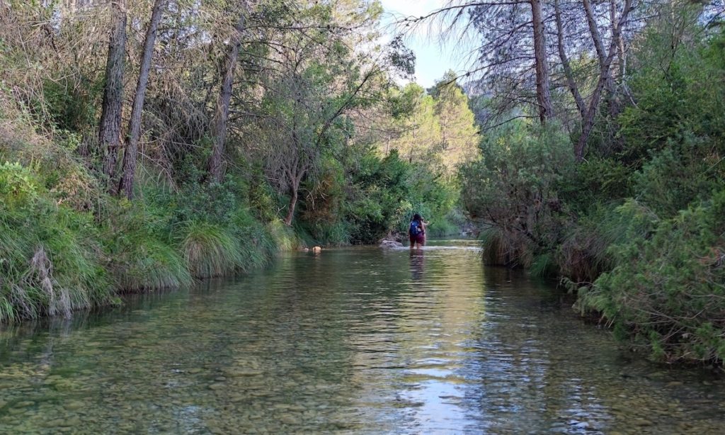 parc_natural_els_ports_rio_algars