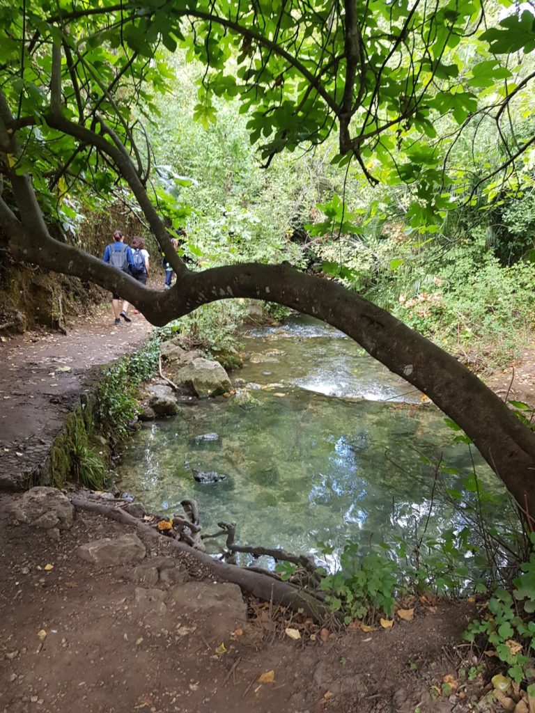 Sendero_rio majaceite_grazalema