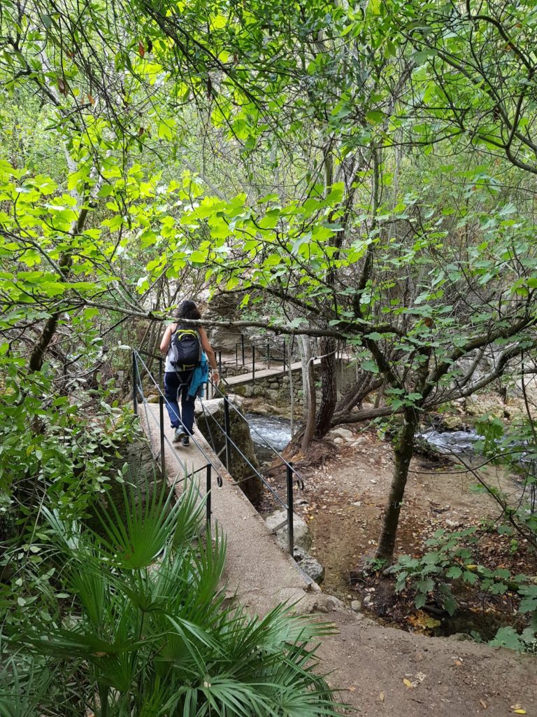 Sendero_rio majaceite_grazalema