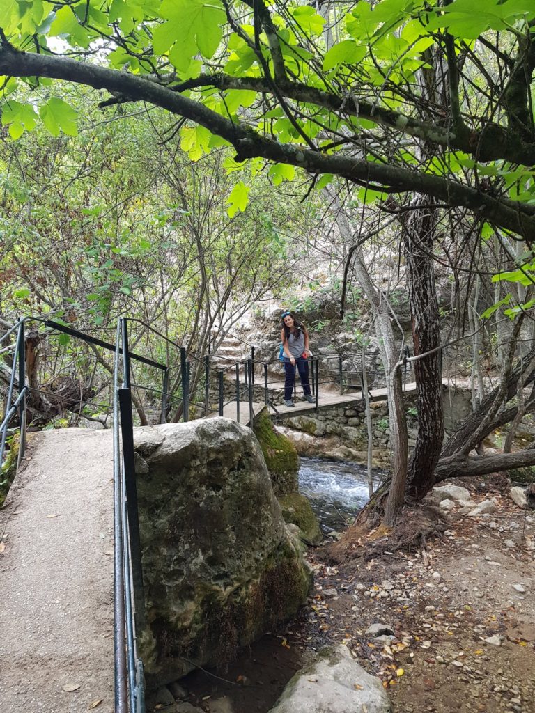 Sendero_rio majaceite_grazalema