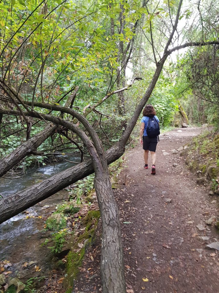 Sendero_rio majaceite_grazalema