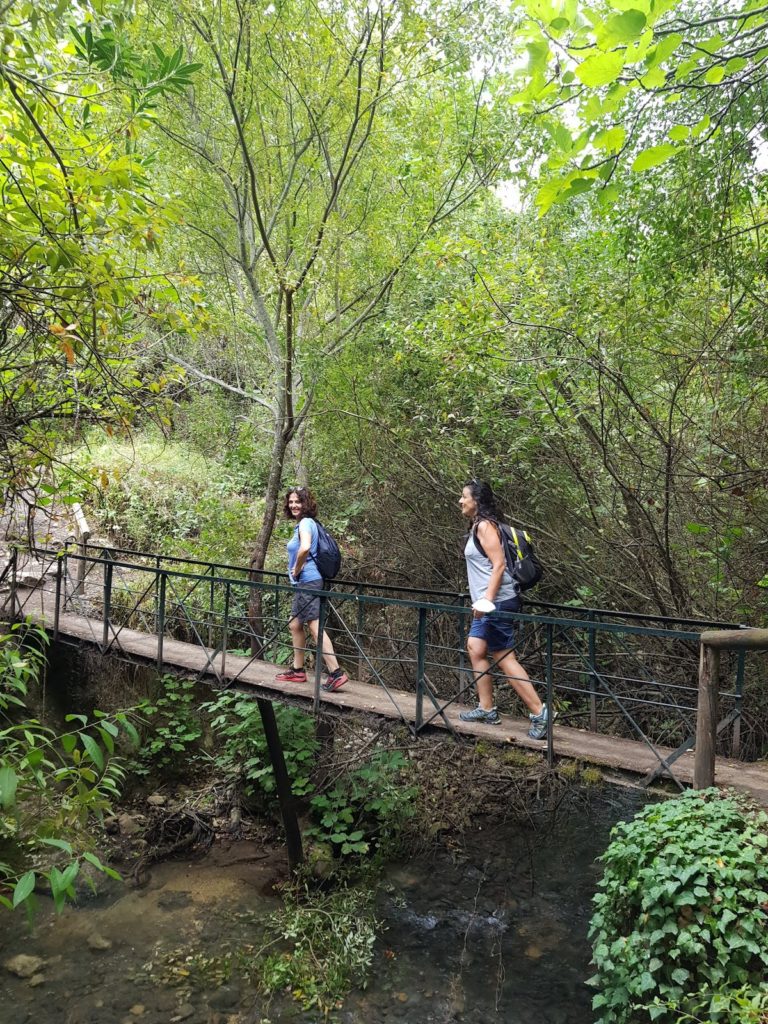 Sendero_rio majaceite_grazalema