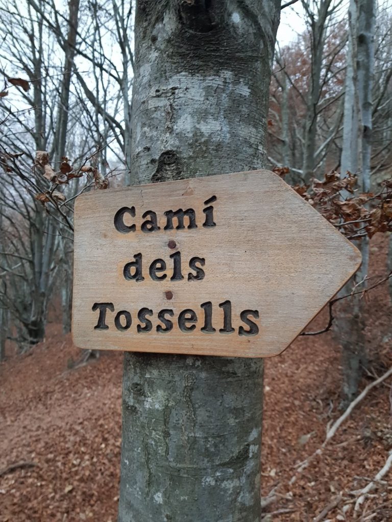 cami_deñs_tossells