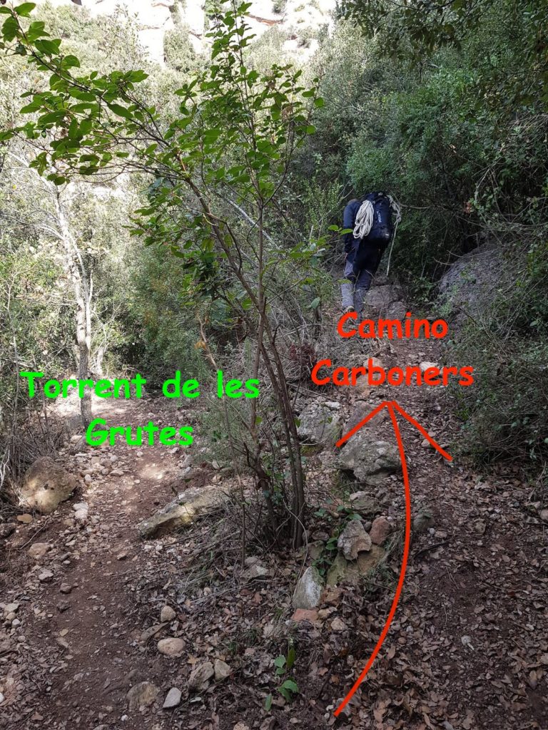 camino_dels_carboners