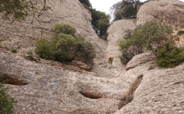 Torrent_de_la_cova_p_petit