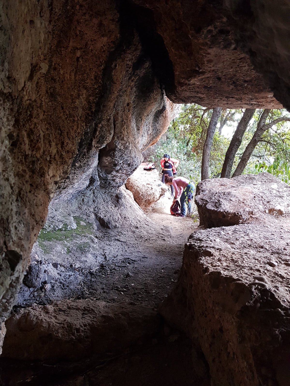 Cova del Solitari