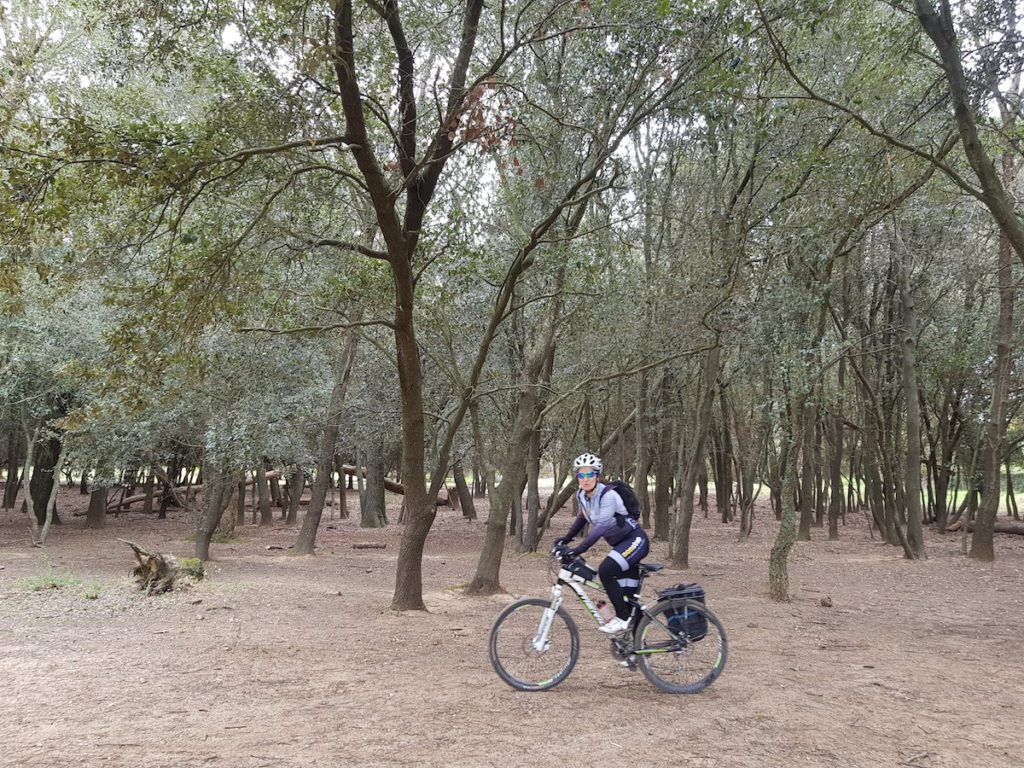 bici_baix_emporda_girones_cicloturismo