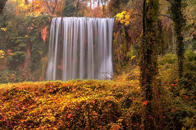 ruta_por_los_bosques_mas_bellos_aragon