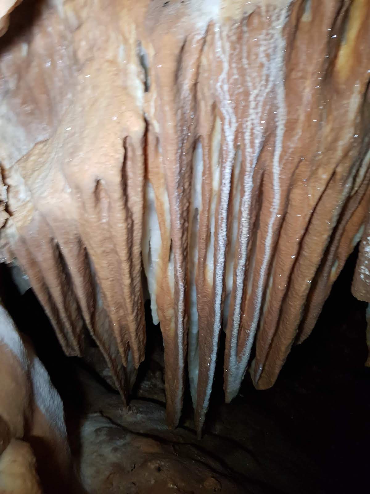 cueva_de_l_orri