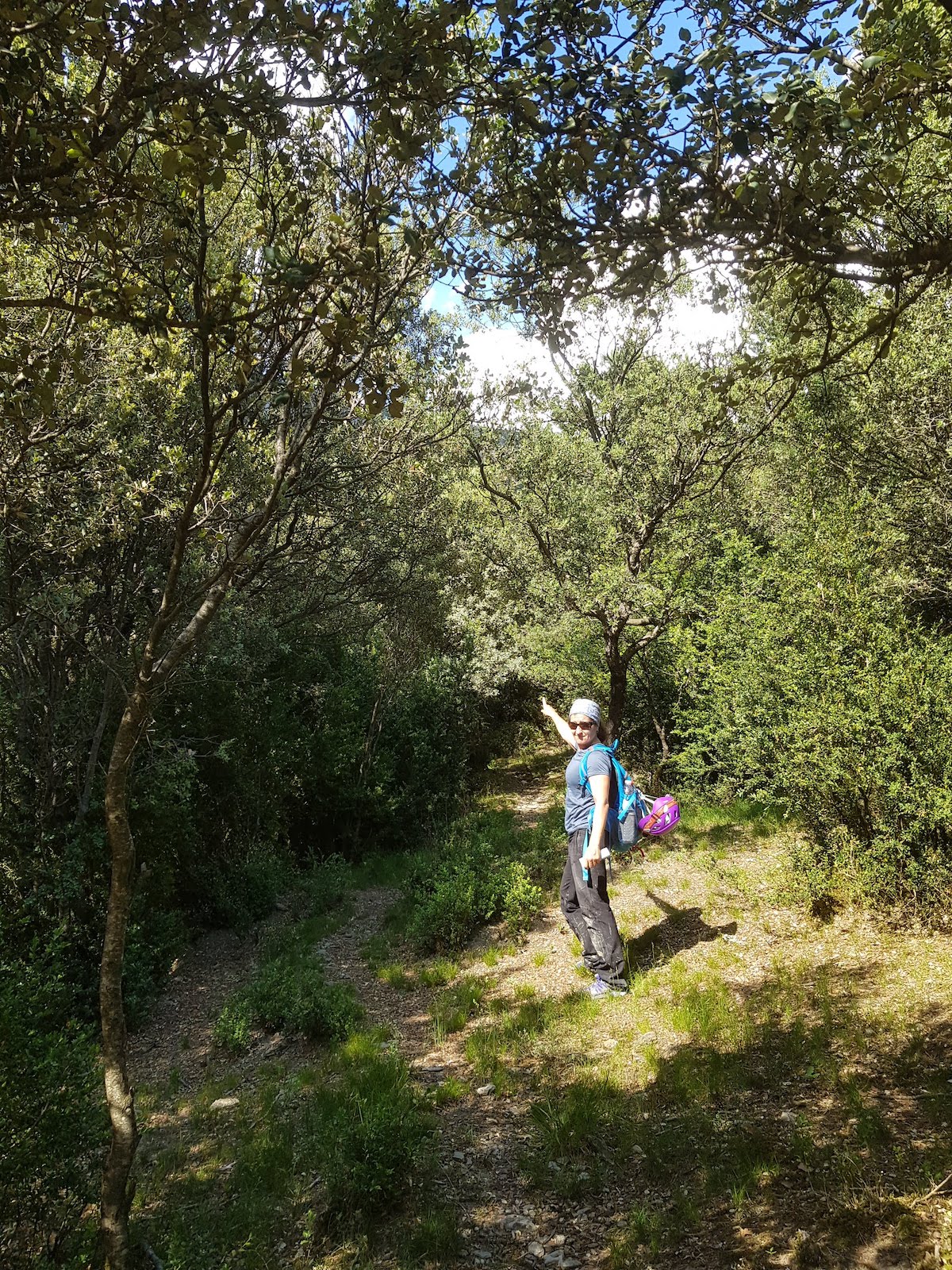 cueva_de_los_molino_lamiana