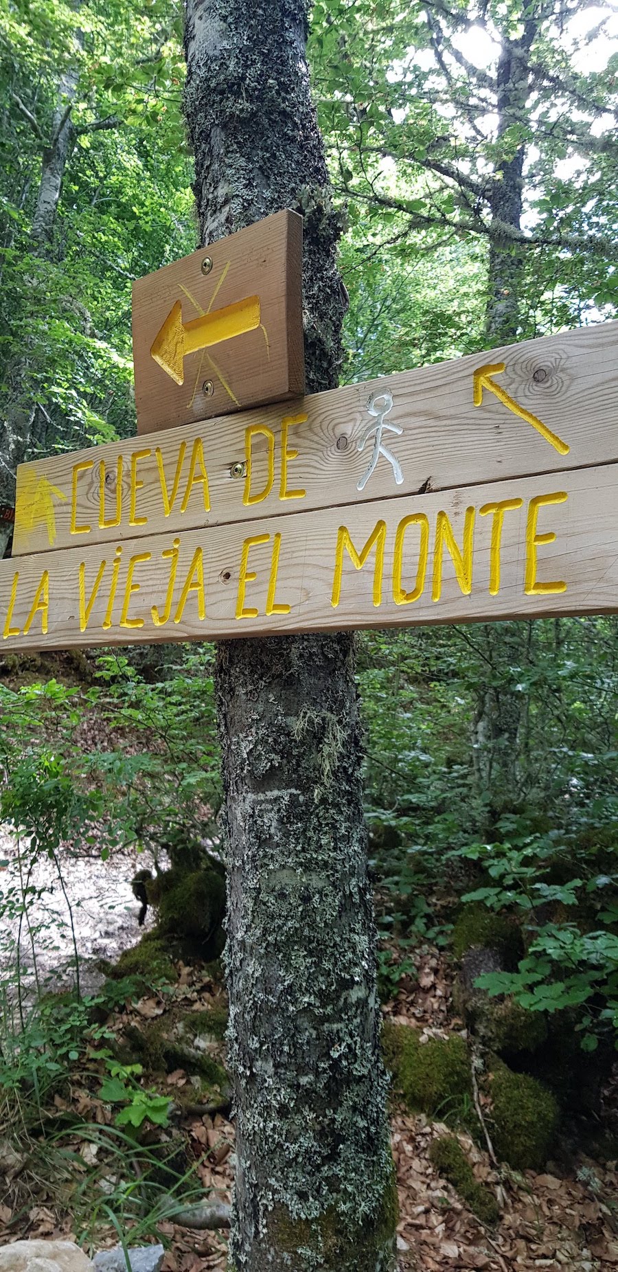 cueva_de_la_vieja_del_monte
