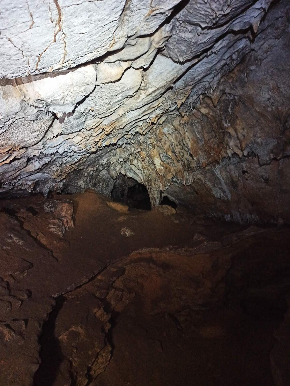 cueva_del_asno_los_rabanos