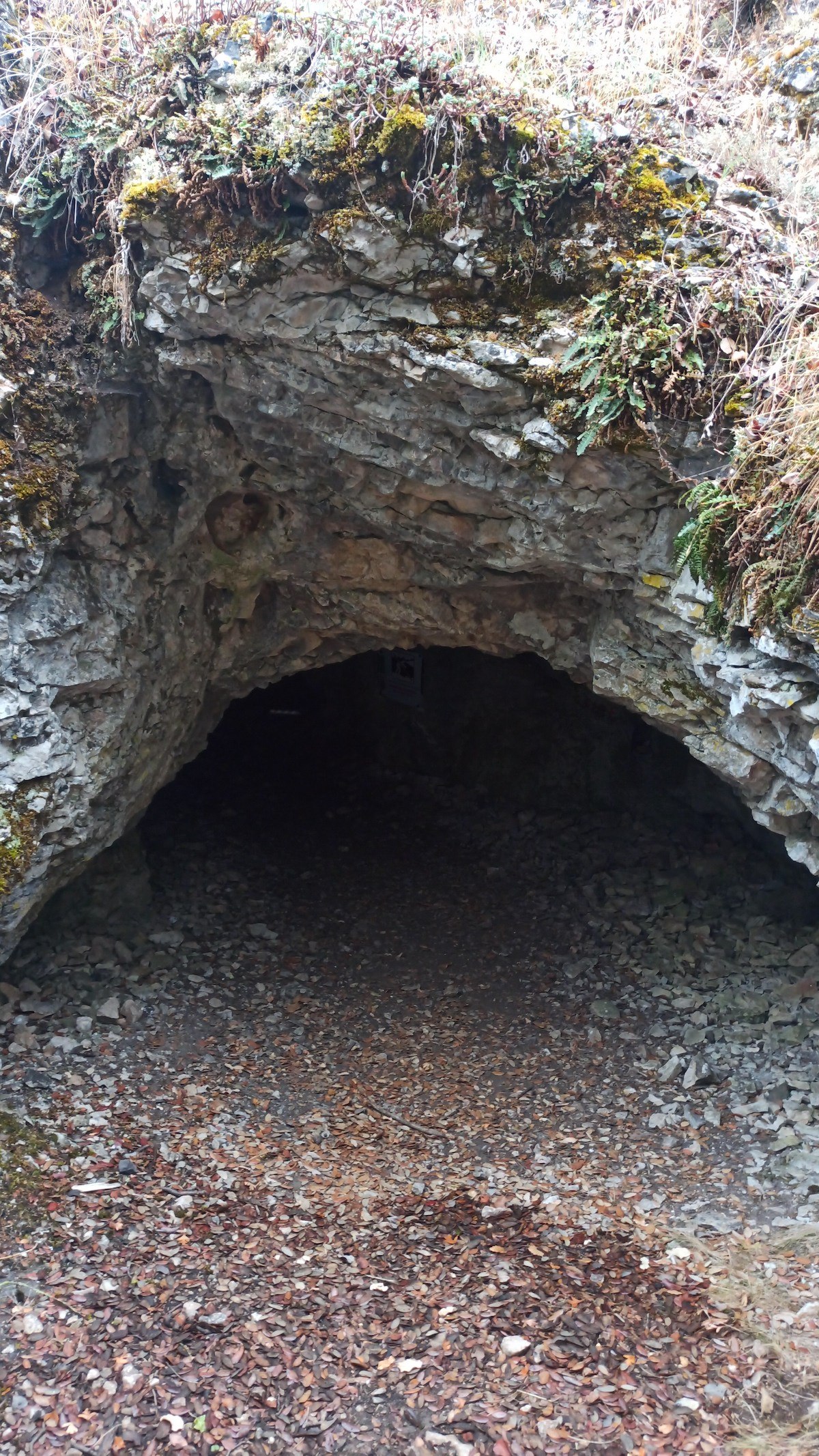 cueva_del_asno_los_rabanos