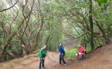 ruta_de_los_sentidos_anaga_tenerife