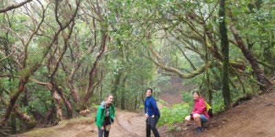 ruta_de_los_sentidos_anaga_tenerife