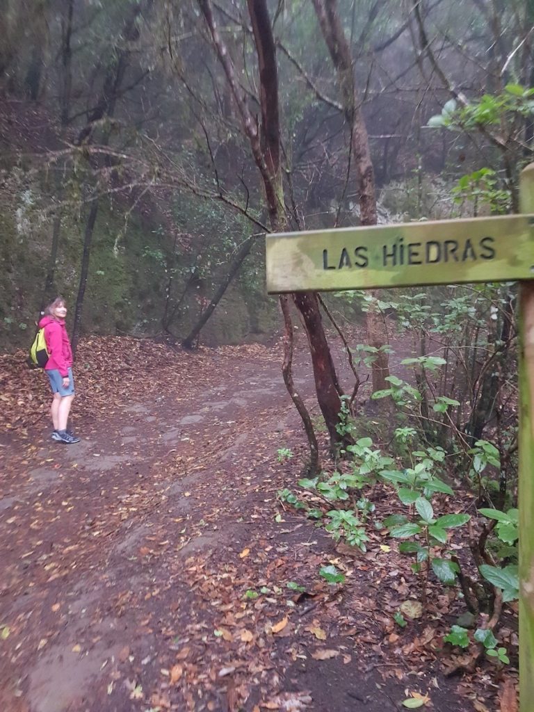 sendero_de_las_hiedras