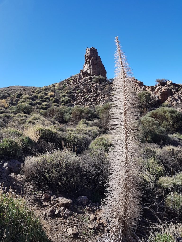 roques_garcia_tenerife_parque_nacional_teide