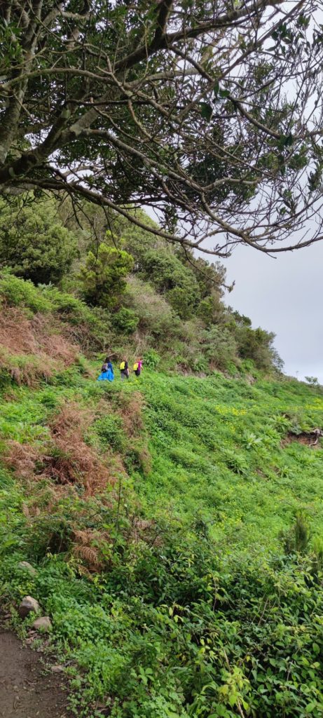 parque_rural_anaga_ruta_a_taborno