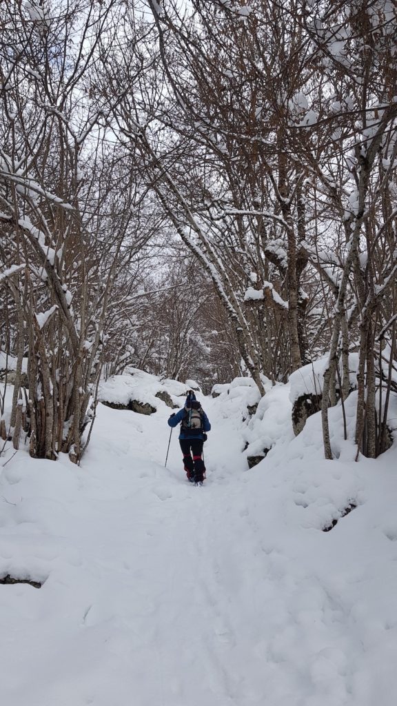 circular_banhs_de_tredos_con_nieve