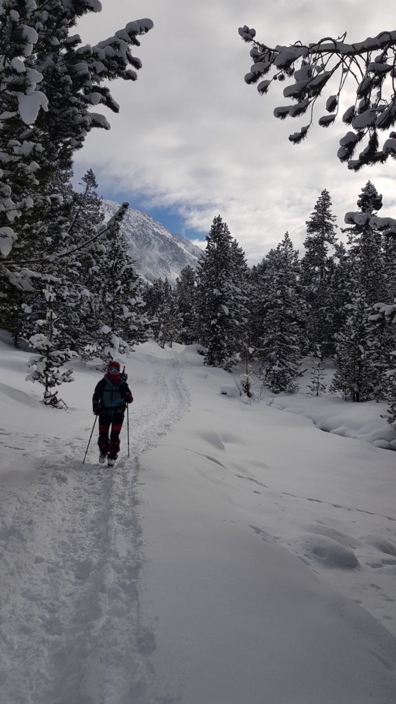 circular_banhs_de_tredos_con_nieve