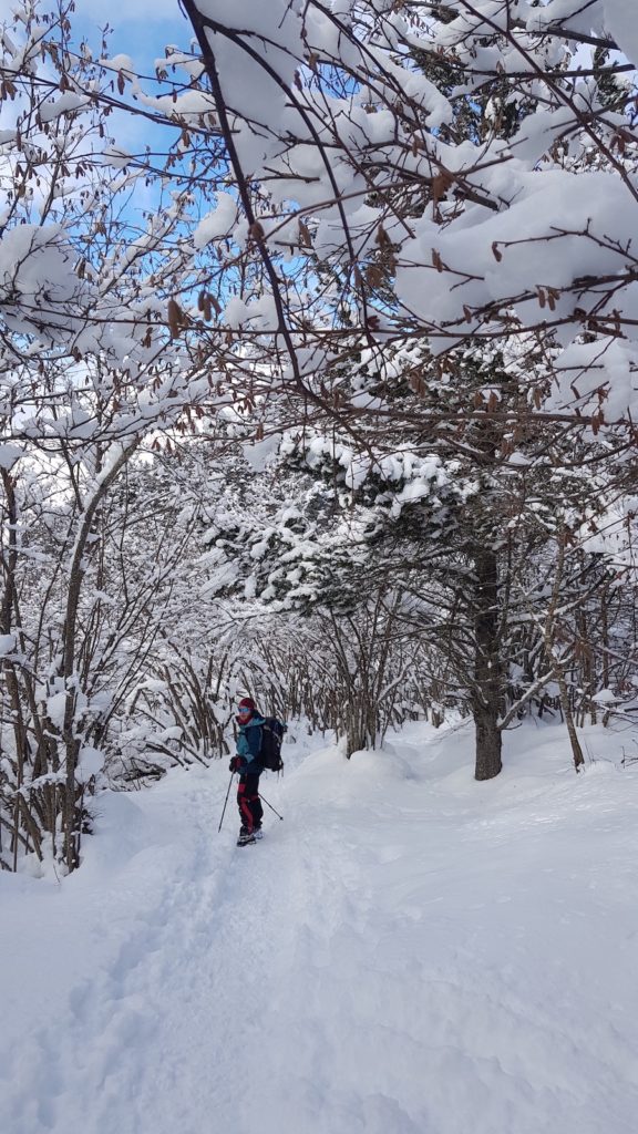 circular_banhs_de_tredos_con_nieve