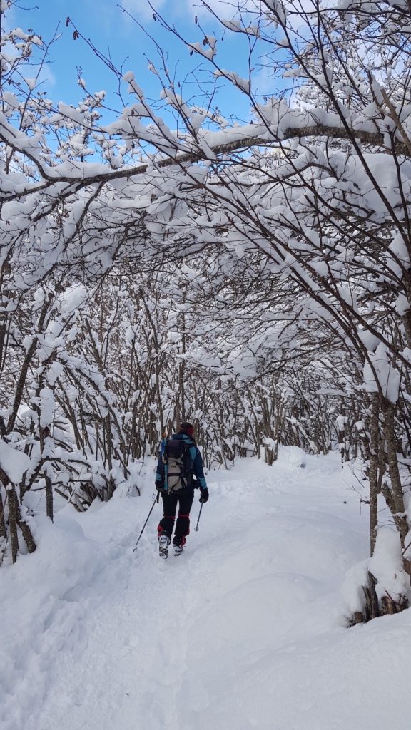 circular_banhs_de_tredos_con_nieve