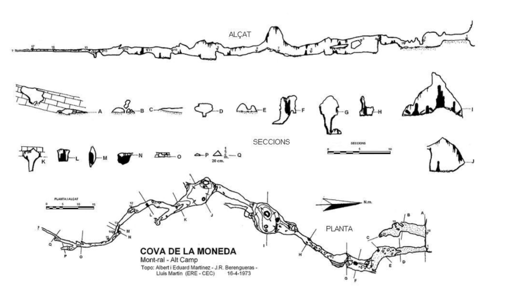 Topografia_cova_de_la_moneda