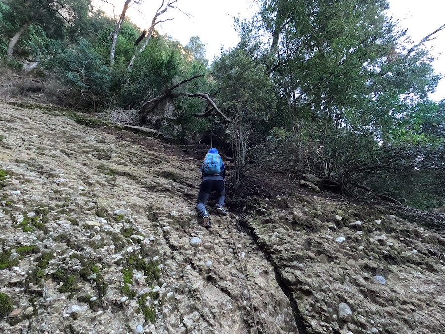 Montserrat_canal_del_moro