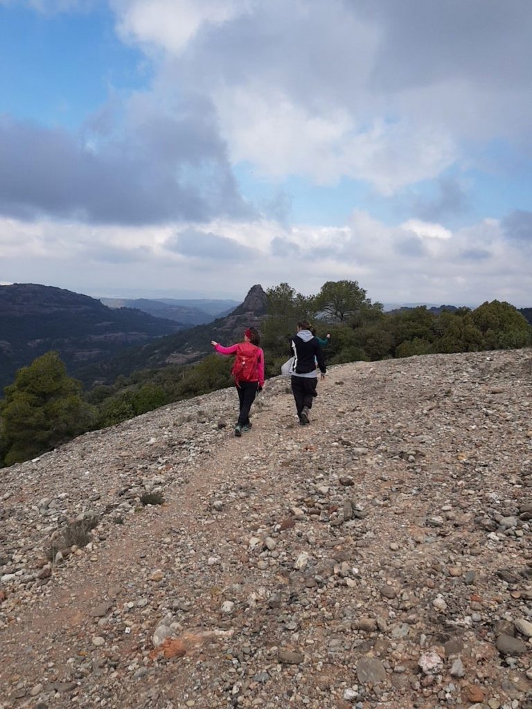 pujol_de_la_mata_la_falconera_montcau