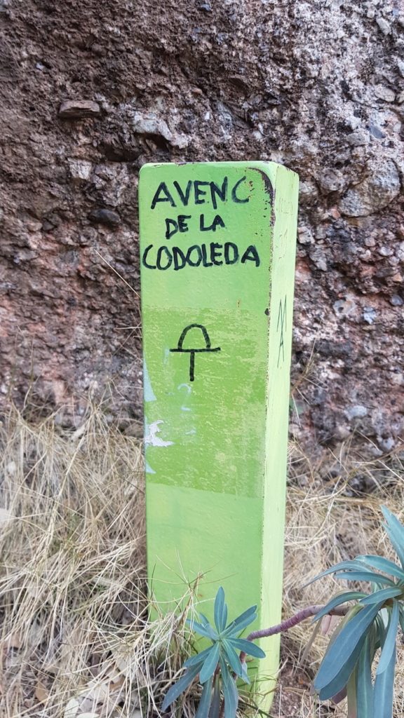 avenc_de_la_Codoleda