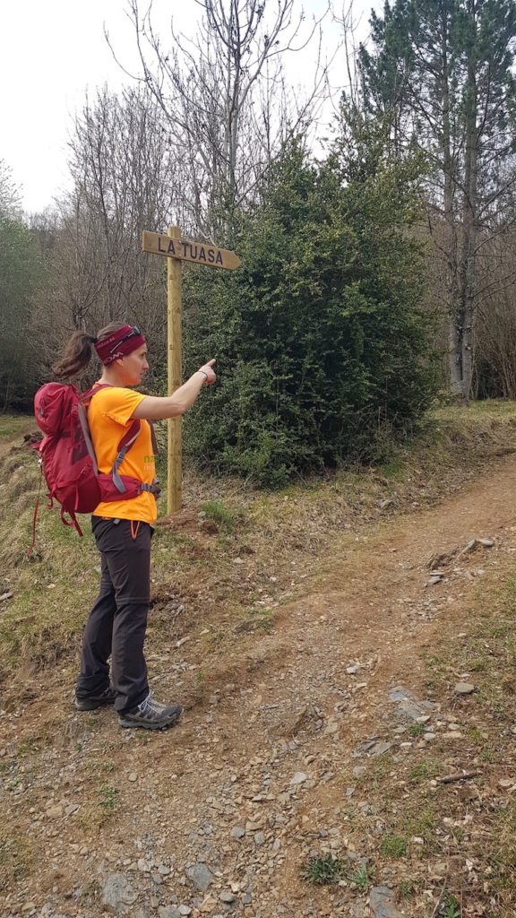 Selva_de_conques_eriste