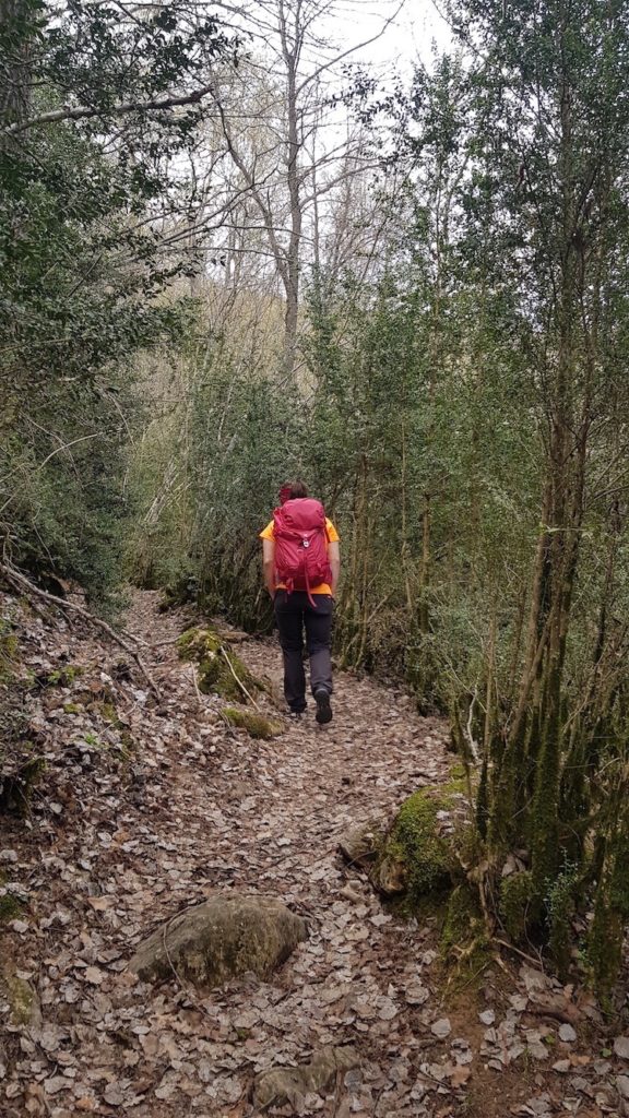 Selva_de_conques_eriste