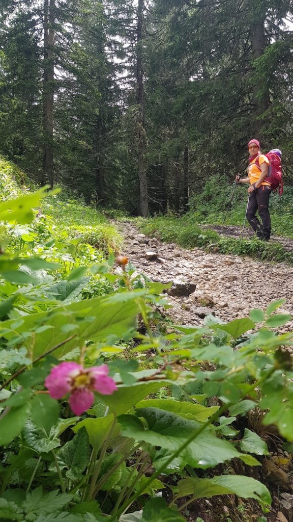 dolomiti_di_sesto