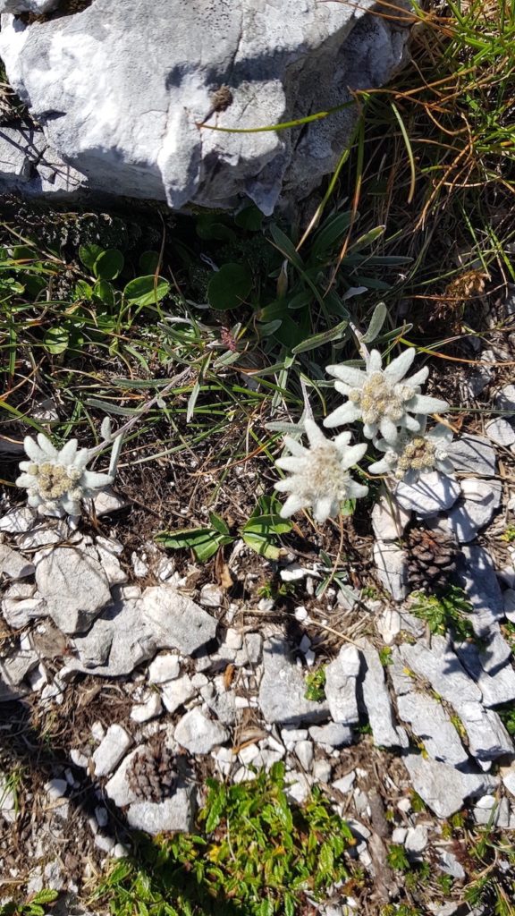 travesía_parque_nacional_del_triglav