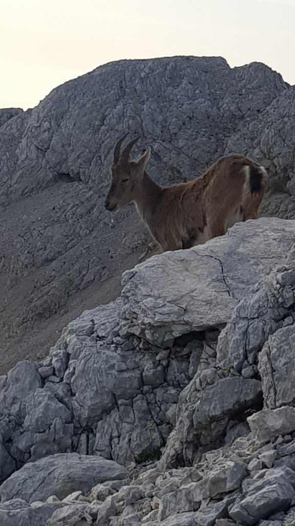 travesía_parque_nacional_del_triglav