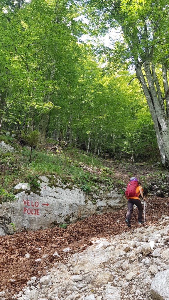 Lago_bohinj_vodnikov_dom