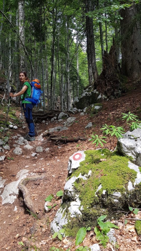 Lago_bohinj_vodnikov_dom