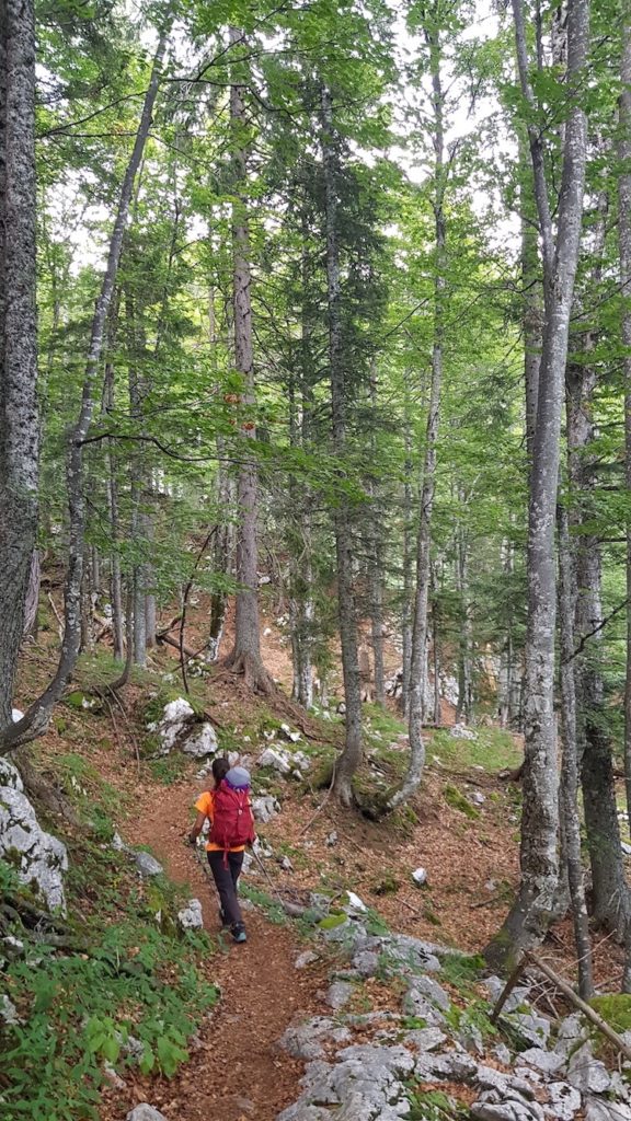 Lago_bohinj_vodnikov_dom