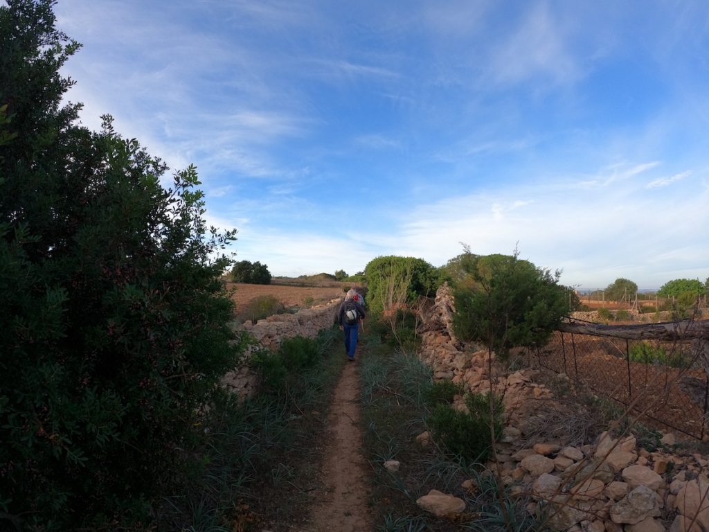 complex_ses_mamelles_formentera