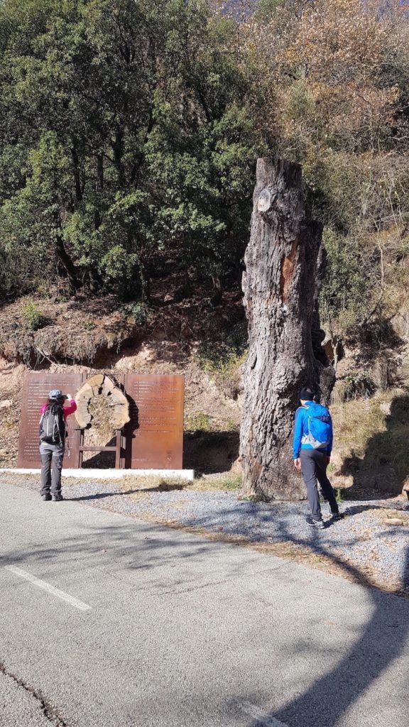 santuari_de_bellmunt_desde_sant_pere_de_torelló