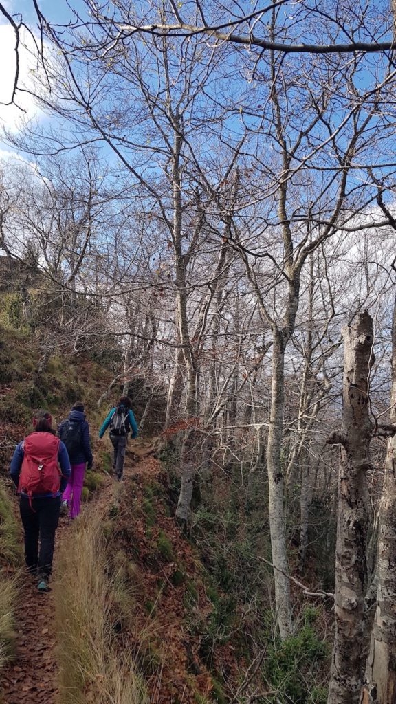 santuari_de_bellmunt_desde_sant_pere_de_torelló