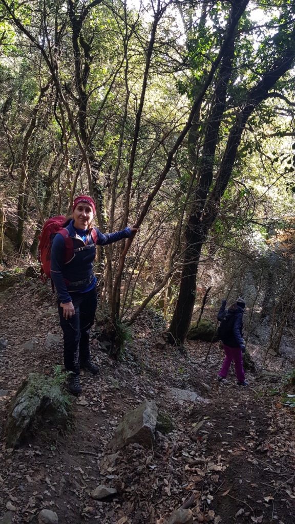 santuari_de_bellmunt_desde_sant_pere_de_torelló