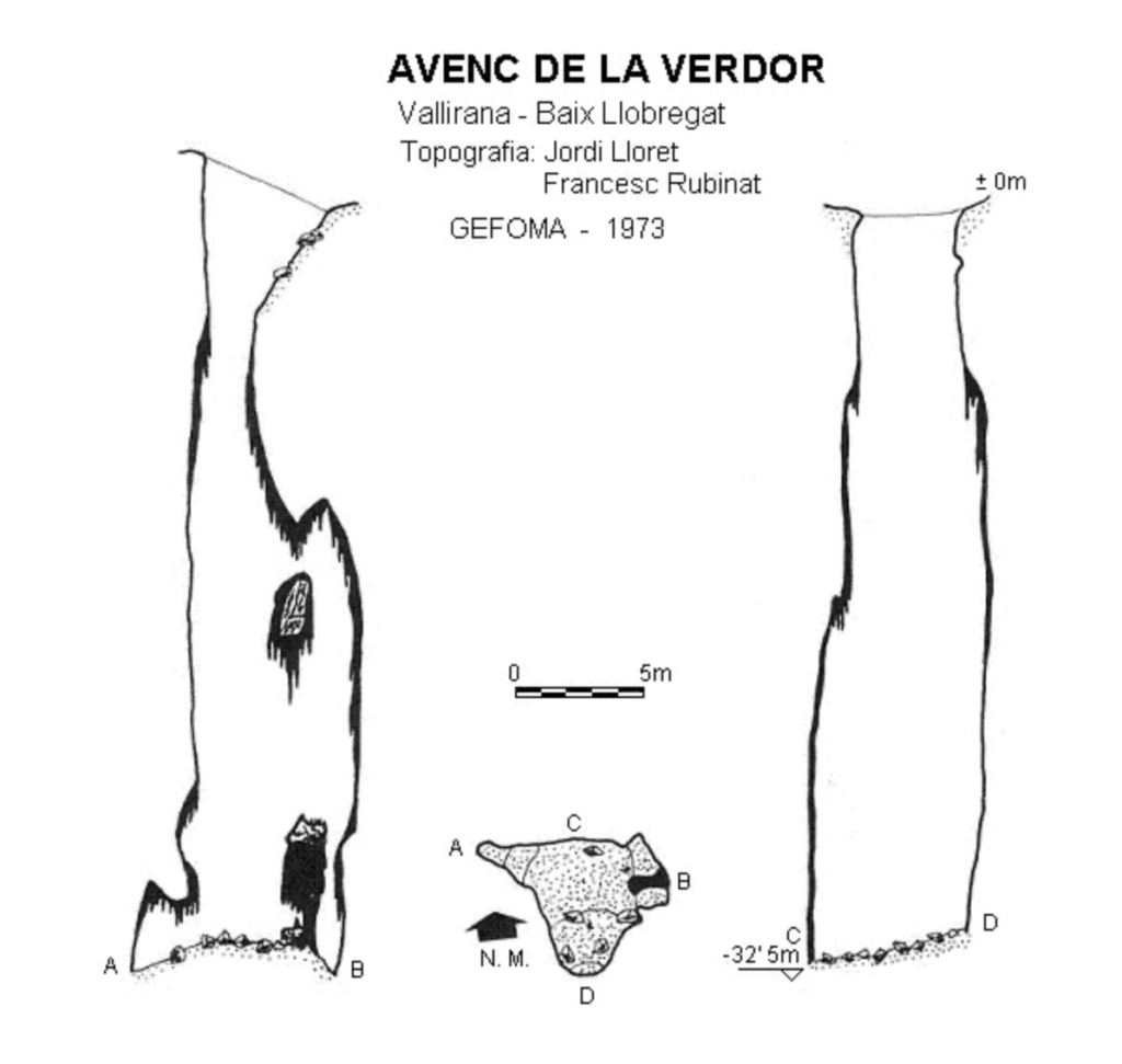 topo_avenc_de_la_verdor