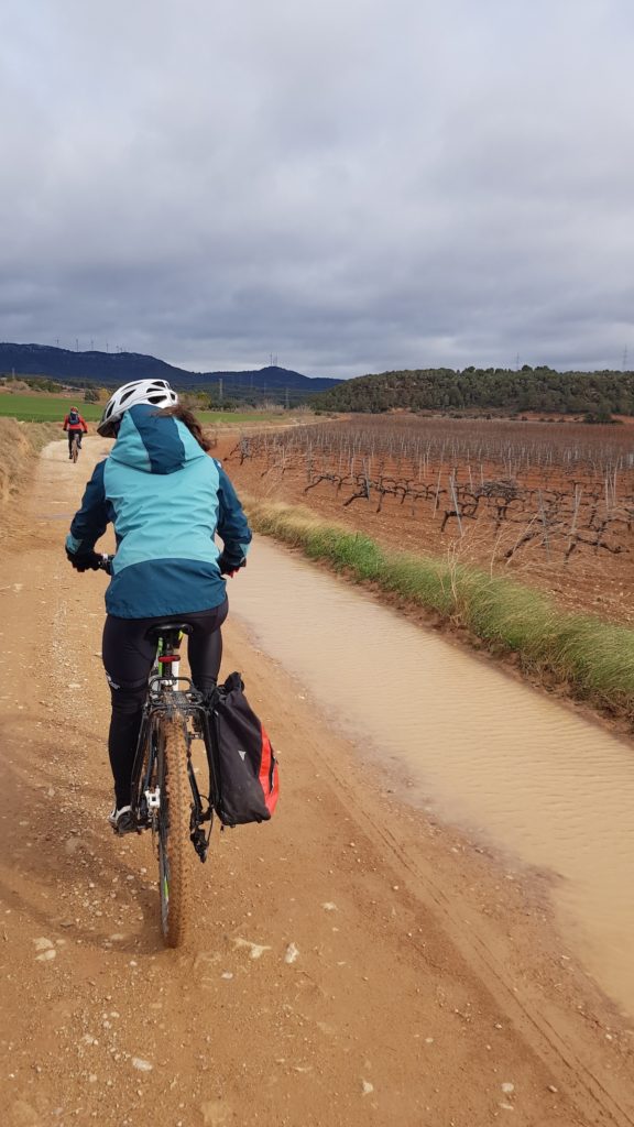 ruta_del_cister_cicloturismo